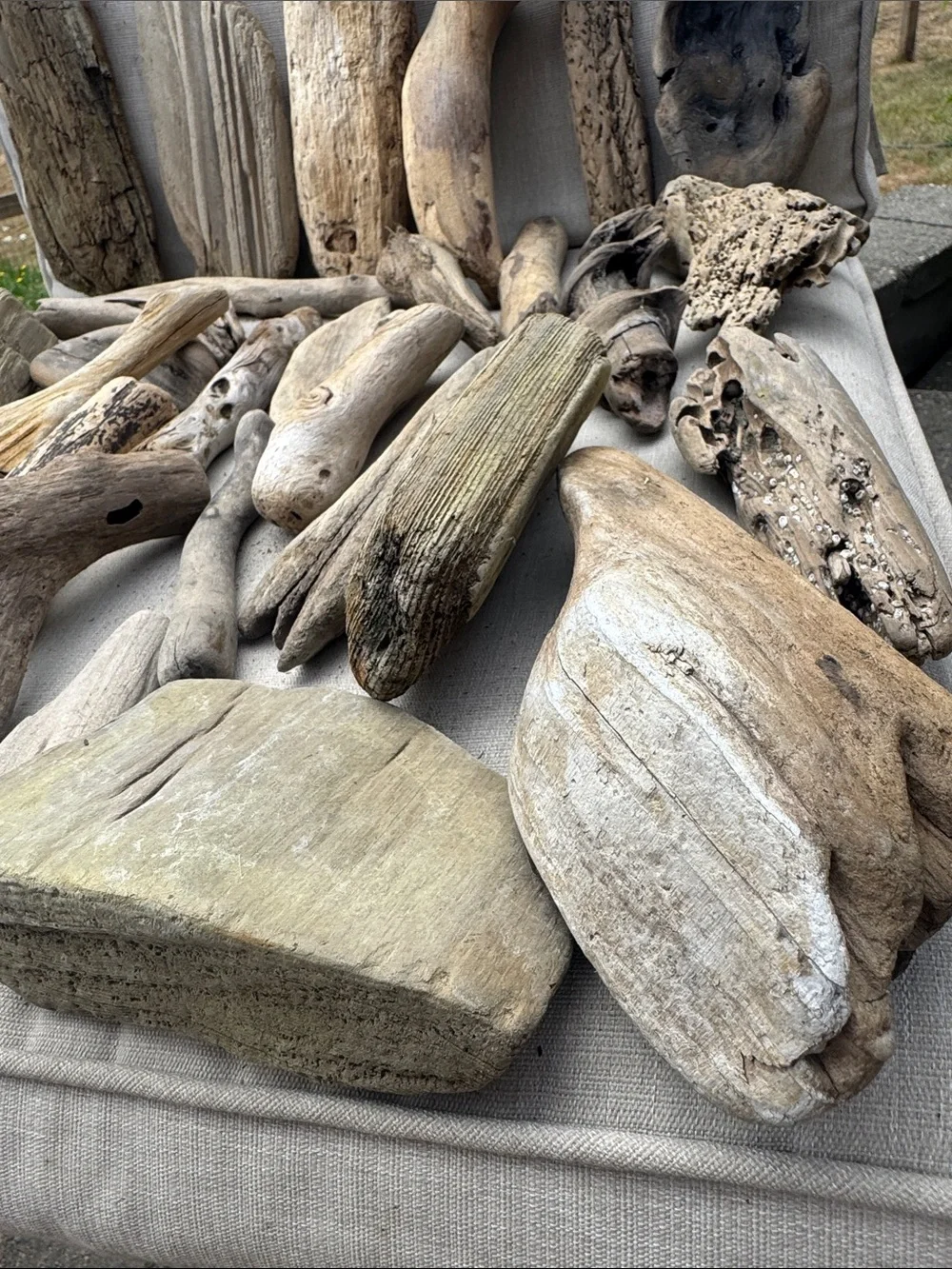 34 Pc (5lbs shipped) Box of beach Natural Driftwood Pieces for craft or decor